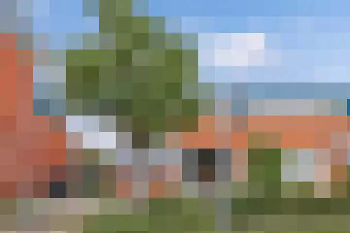 Jol 25 12 Lelystad thumbnail 6