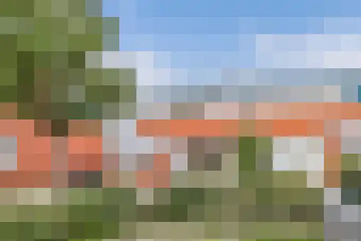 Jol 25 12 Lelystad thumbnail 7