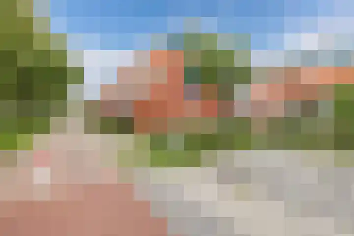 Jol 25 25 12 Lelystad thumbnail 38