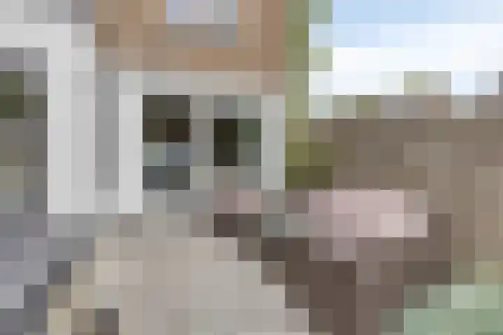 Jol 26 Heerenveen thumbnail 31