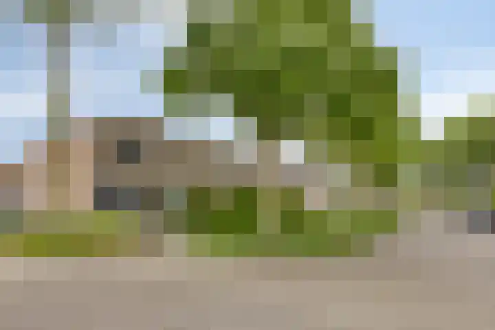 Jol 26 Heerenveen thumbnail 35