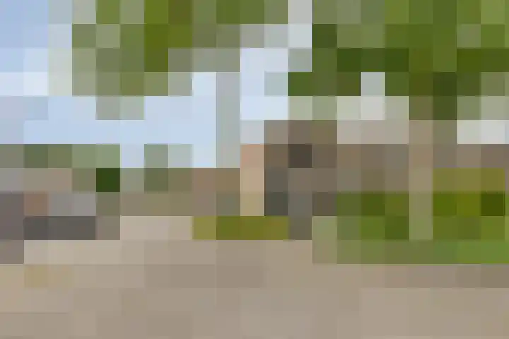 Jol 26 Heerenveen thumbnail 36