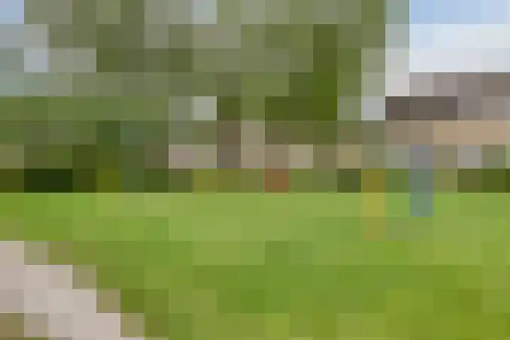 Jol 26 Heerenveen thumbnail 37