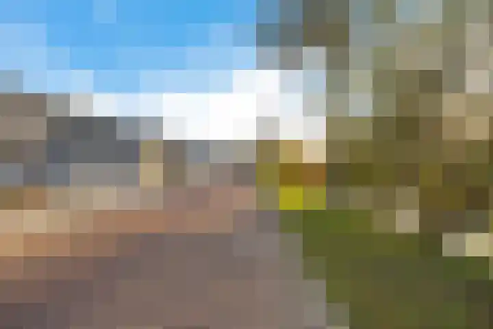 Jol 28 12 Lelystad thumbnail 30
