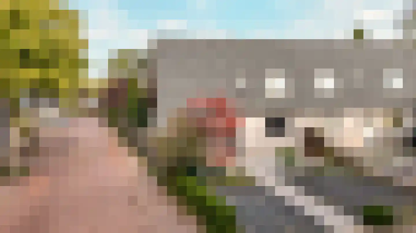 Jol 31 1 Lelystad thumbnail 35