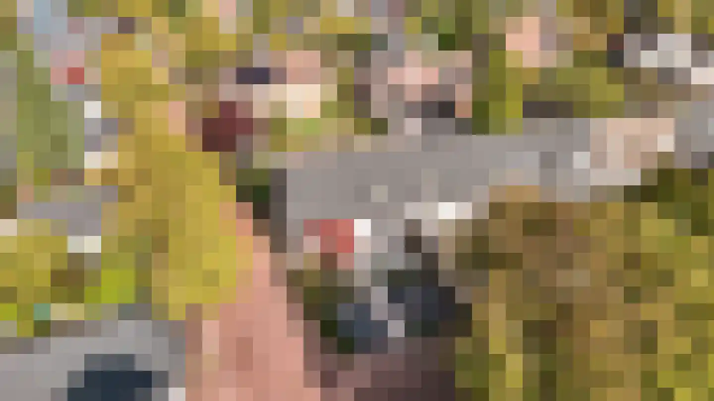 Jol 31 1 Lelystad thumbnail 38