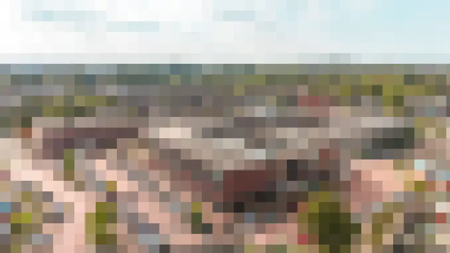 Jol 31 1 Lelystad thumbnail 40