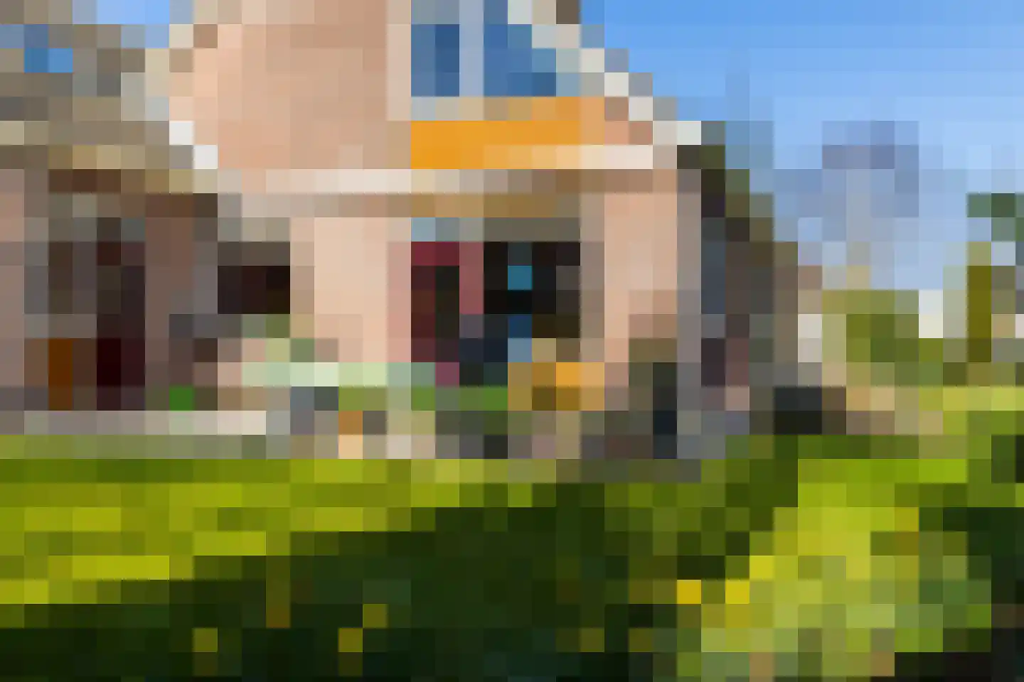 Jol 32 21 Lelystad thumbnail 24