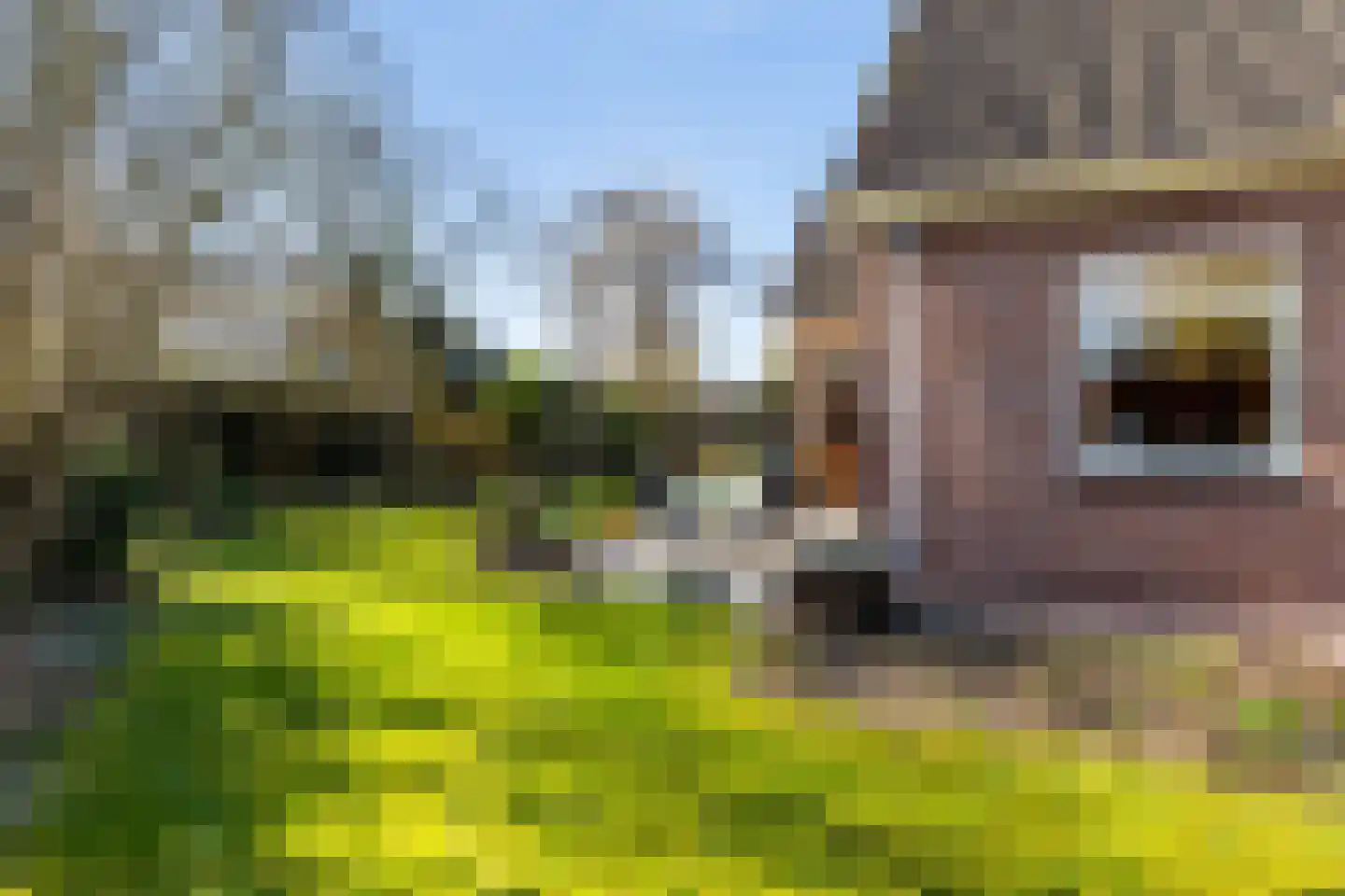 Jol 32 21 Lelystad thumbnail 25