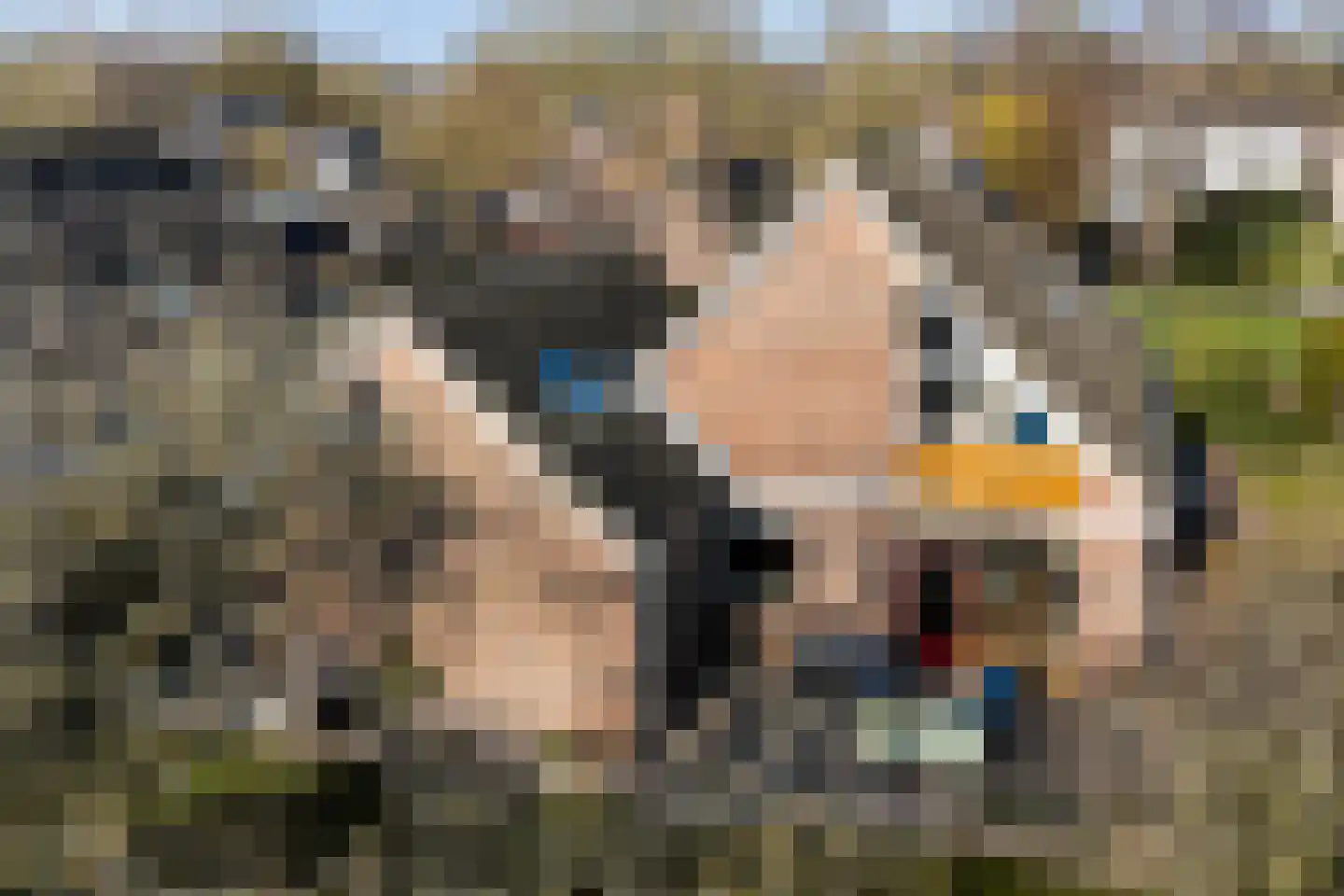 Jol 32 21 Lelystad thumbnail 26