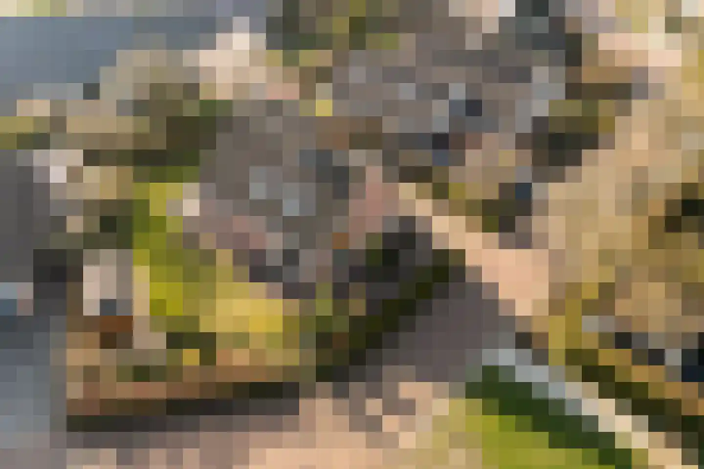 Jol 32 21 Lelystad thumbnail 37