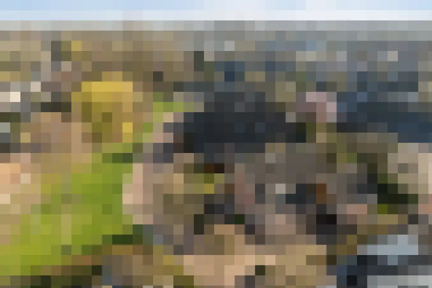 Jol 32 21 Lelystad thumbnail 38