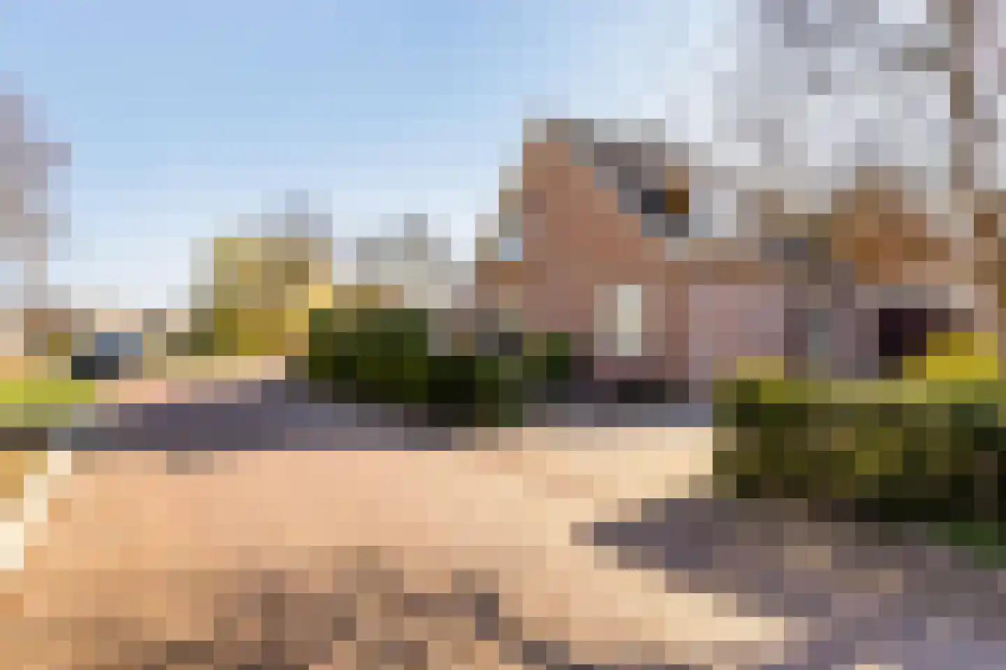 Jol 32 21 Lelystad thumbnail 8
