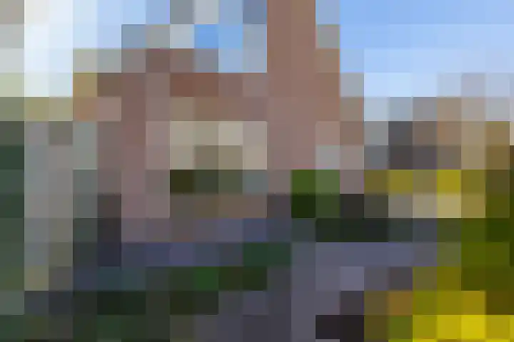 Jol 32 32 21 Lelystad thumbnail 11