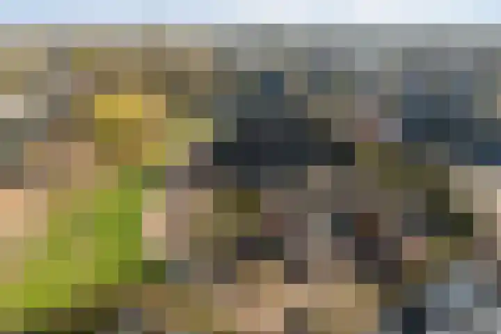 Jol 32 32 21 Lelystad thumbnail 37