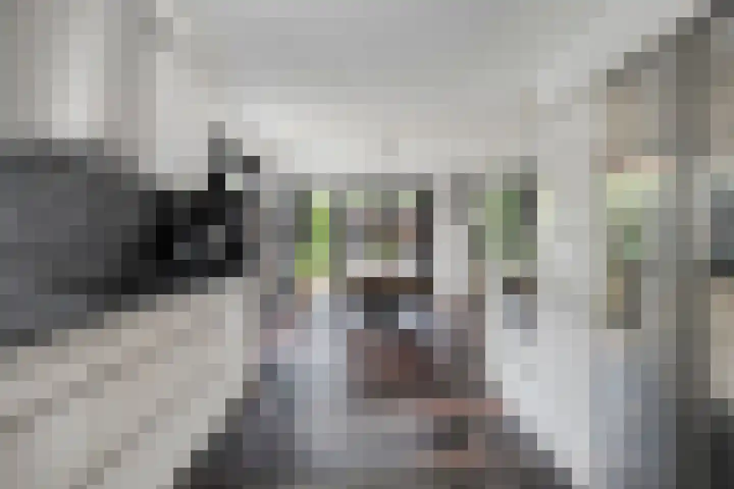 Jol 33 43 Lelystad thumbnail 18