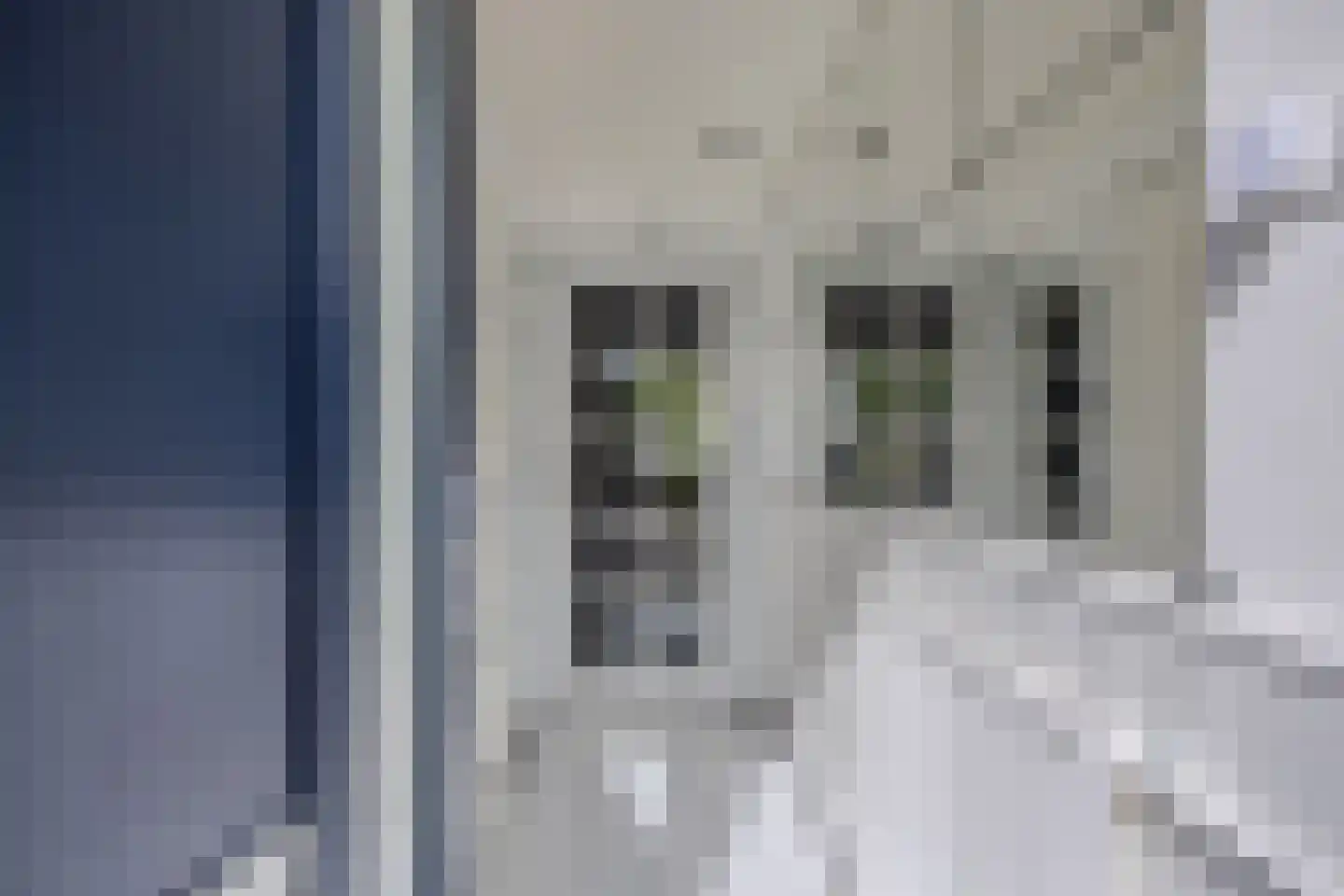 Jol 33 9 Lelystad thumbnail 22