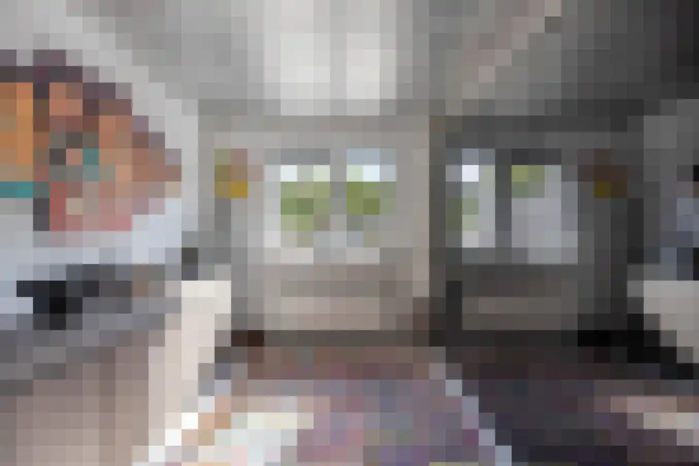 Jol 33 9 Lelystad thumbnail 30