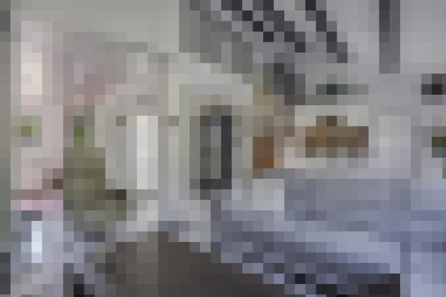 Jol 33 9 Lelystad thumbnail 31