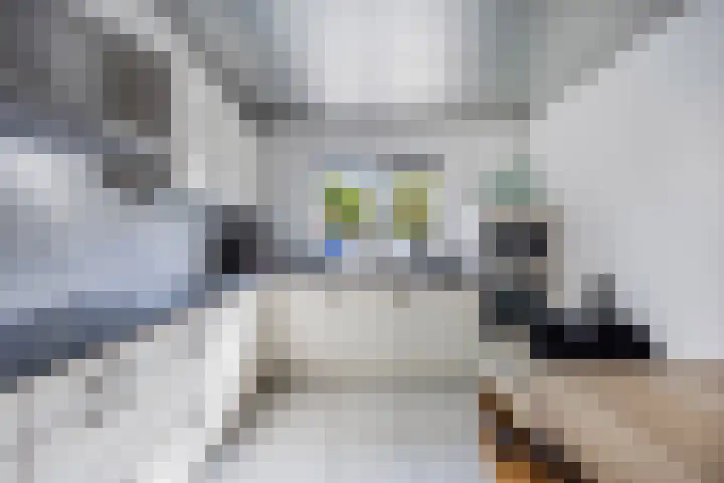 Jol 33 9 Lelystad thumbnail 35