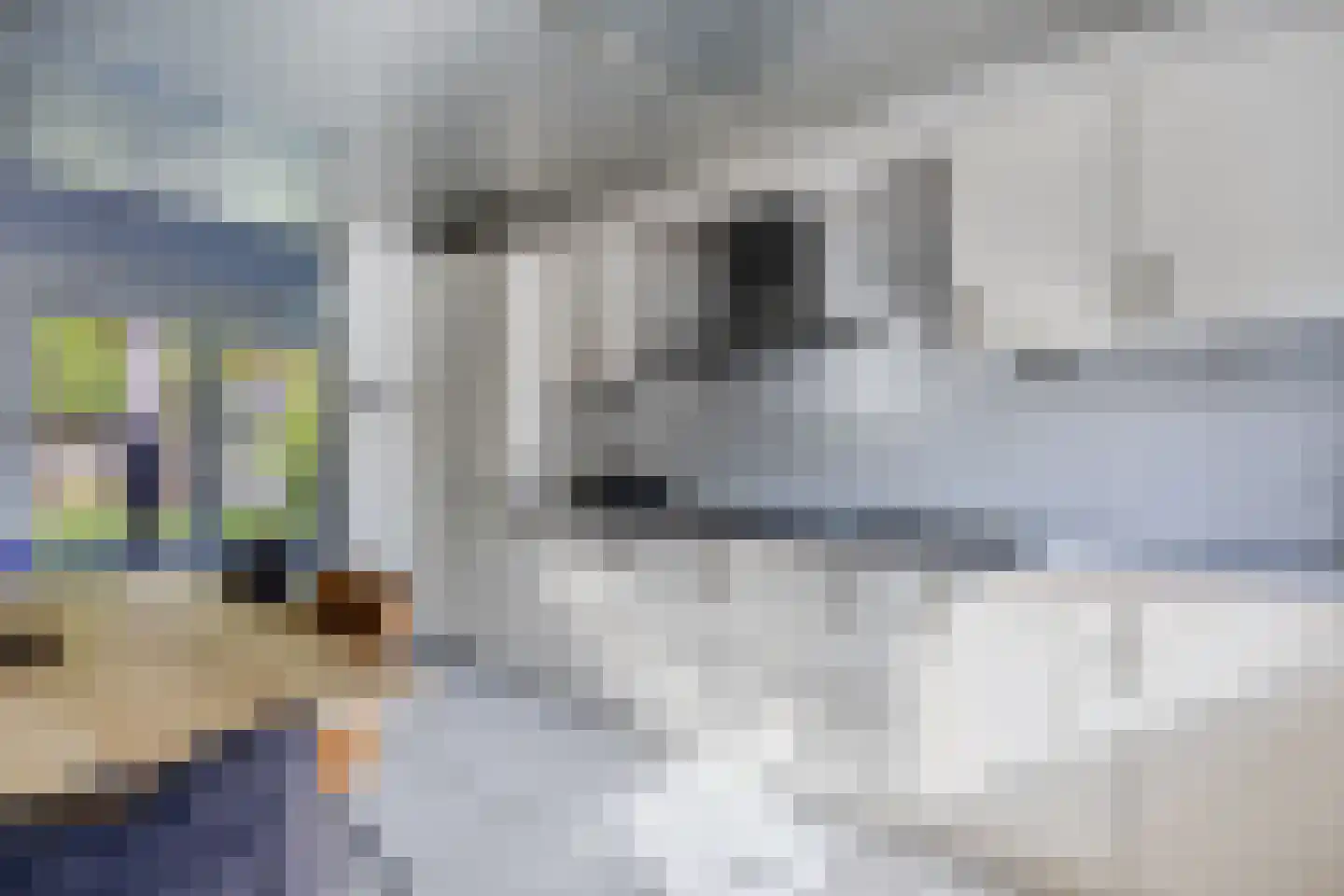 Jol 33 9 Lelystad thumbnail 38