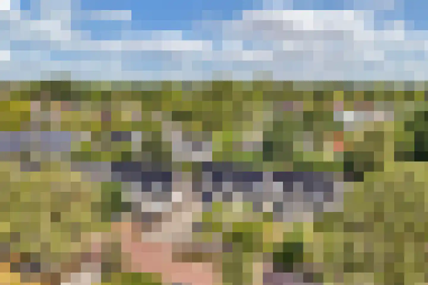 Jol 33 9 Lelystad thumbnail 7
