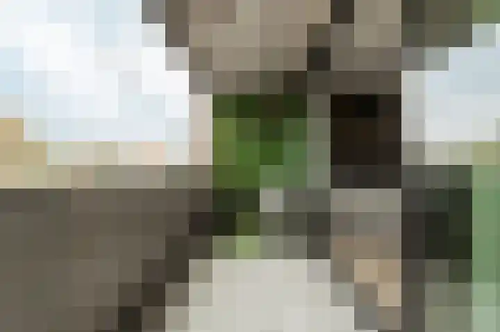 Jol 35 37 Lelystad thumbnail 24
