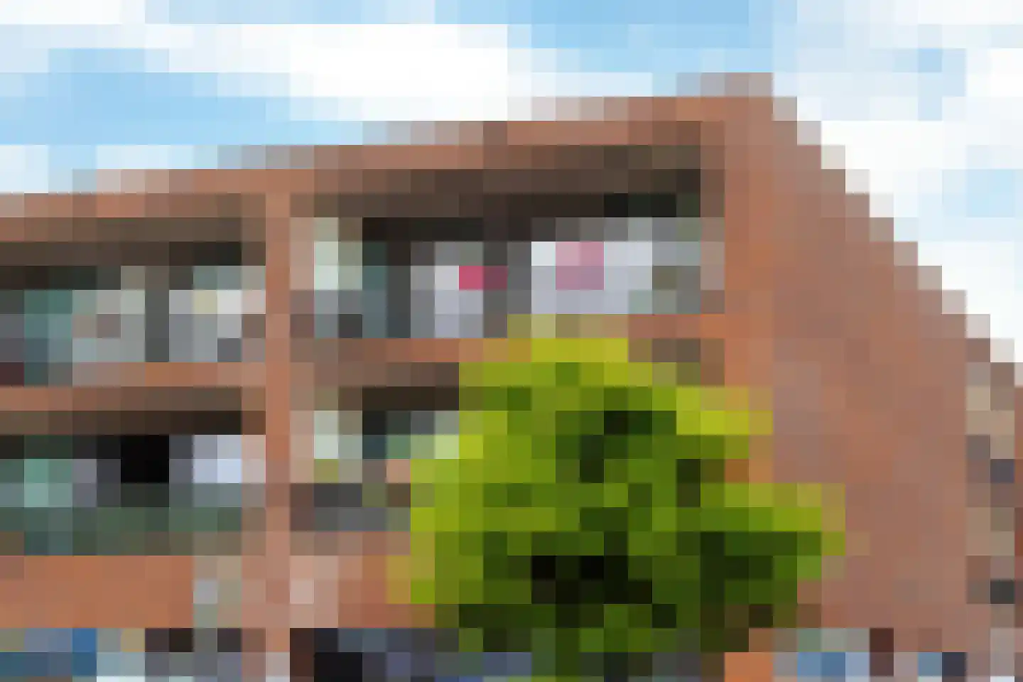 Jol 35 55 Lelystad thumbnail 26