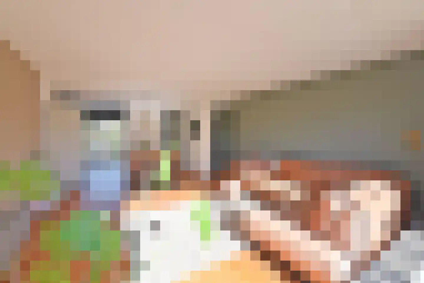 Jol 35 Huizen thumbnail 12