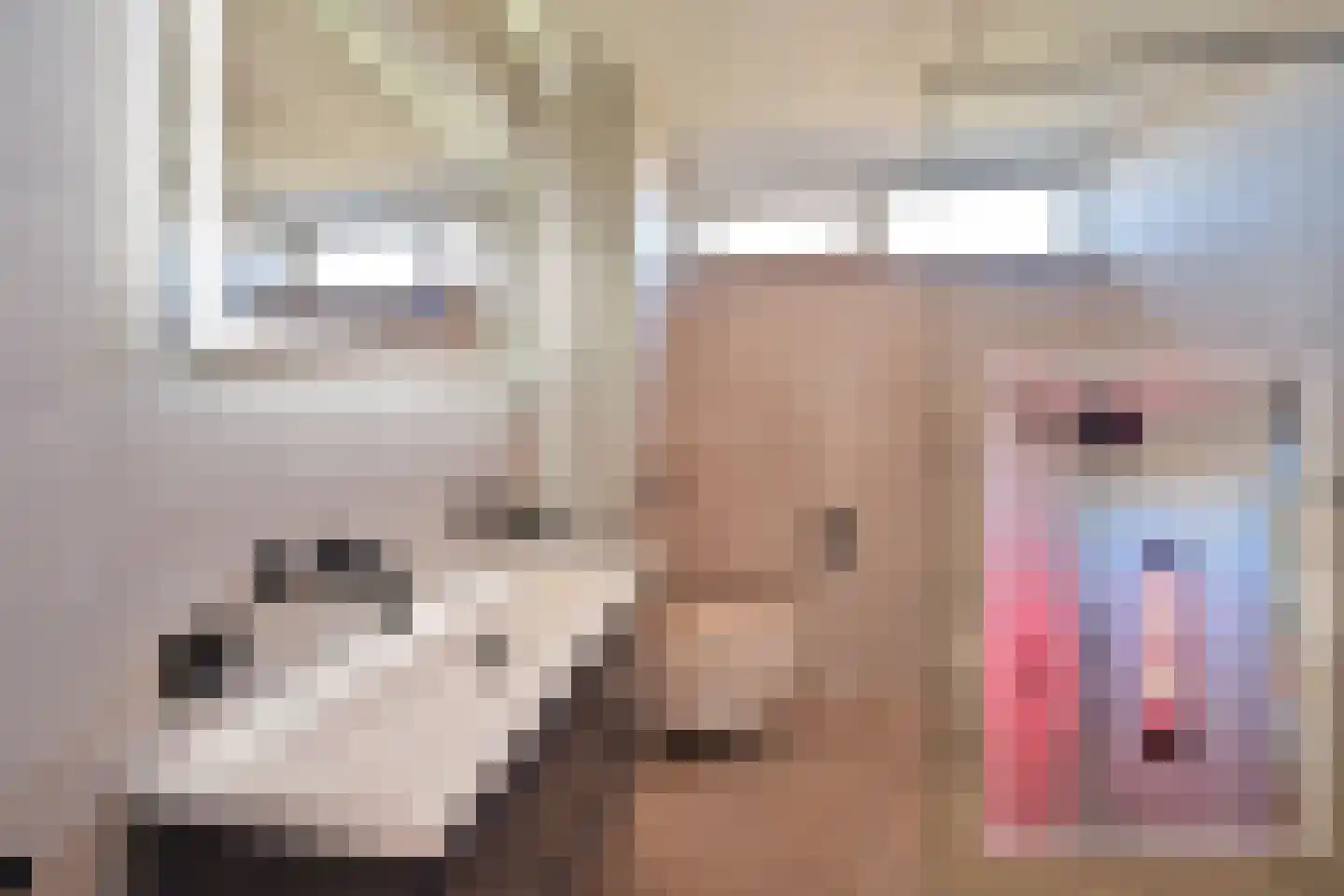 Jol 35 Huizen thumbnail 18