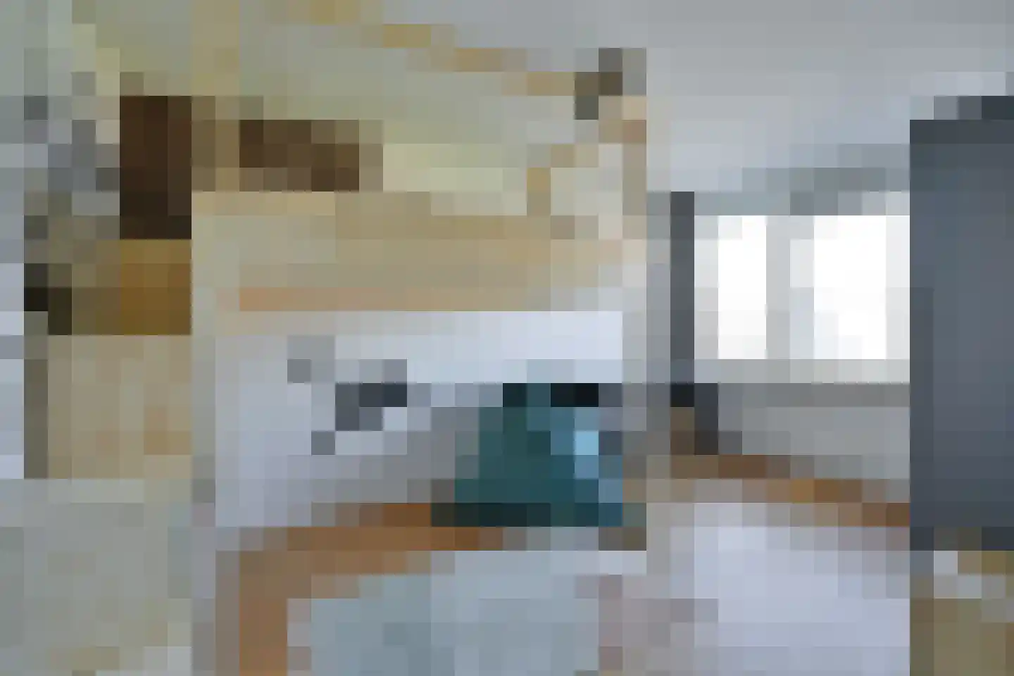 Jol 35 Huizen thumbnail 19