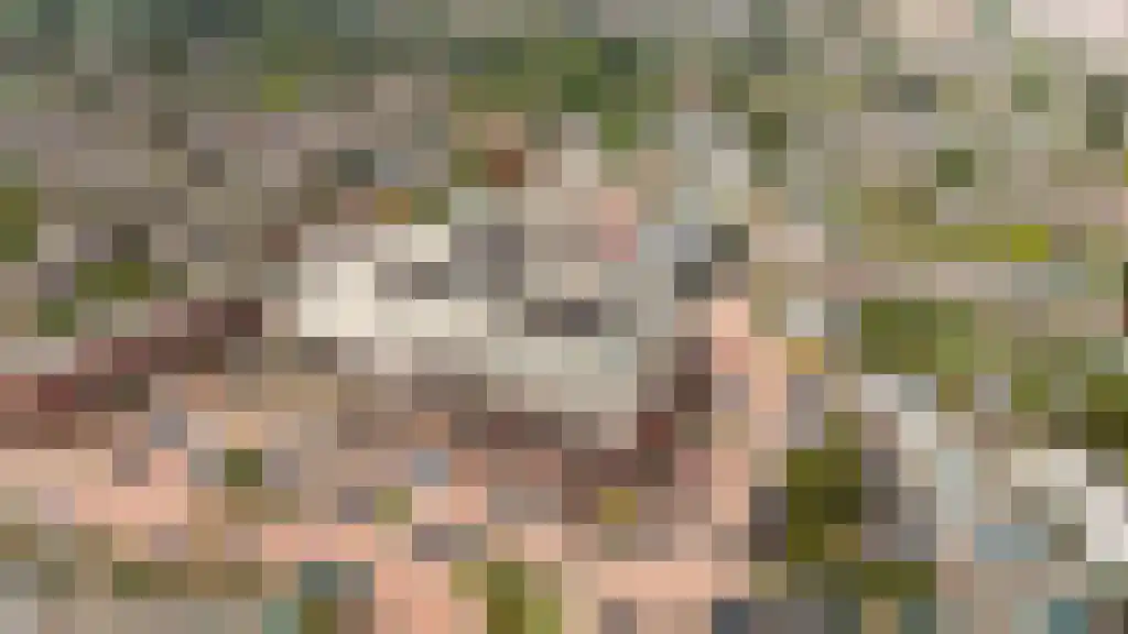 Jol 37 39 Lelystad thumbnail 6