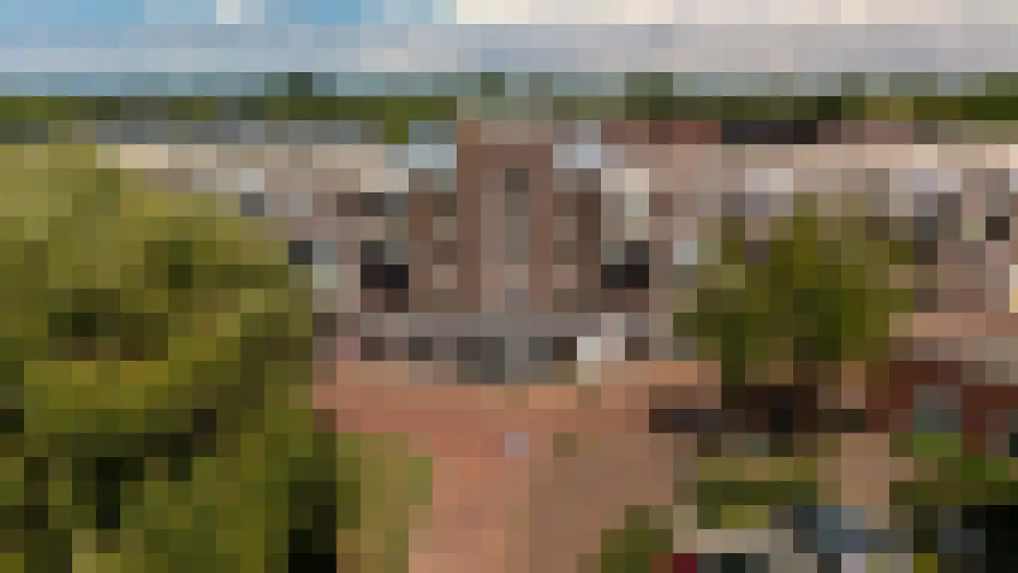 Jol 37 49 Lelystad thumbnail 25