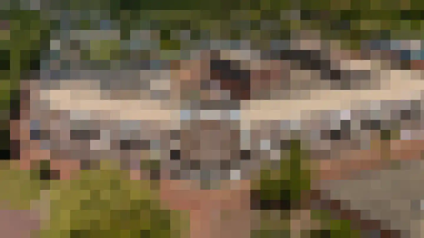 Jol 37 49 Lelystad thumbnail 26