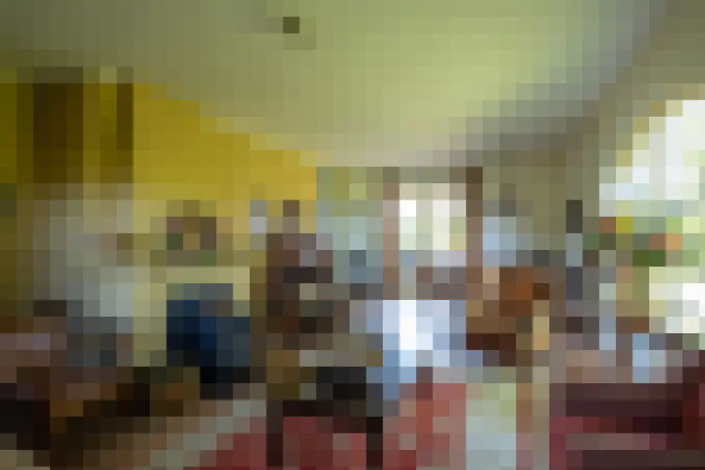 Jolinkdijk 6 Halle thumbnail 14