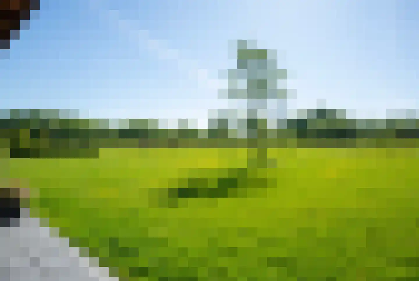Jolinkdijk 6 Halle thumbnail 41