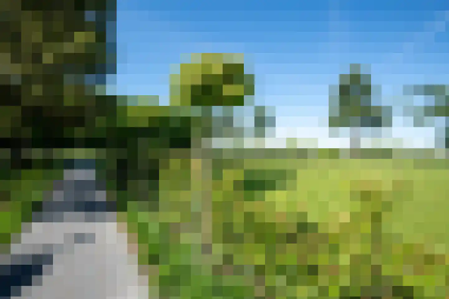 Jolinkdijk 6 Halle thumbnail 43