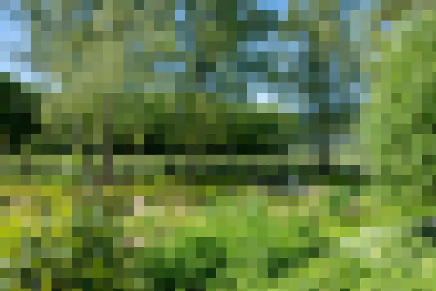 Jolinkdijk 6 Halle thumbnail 44