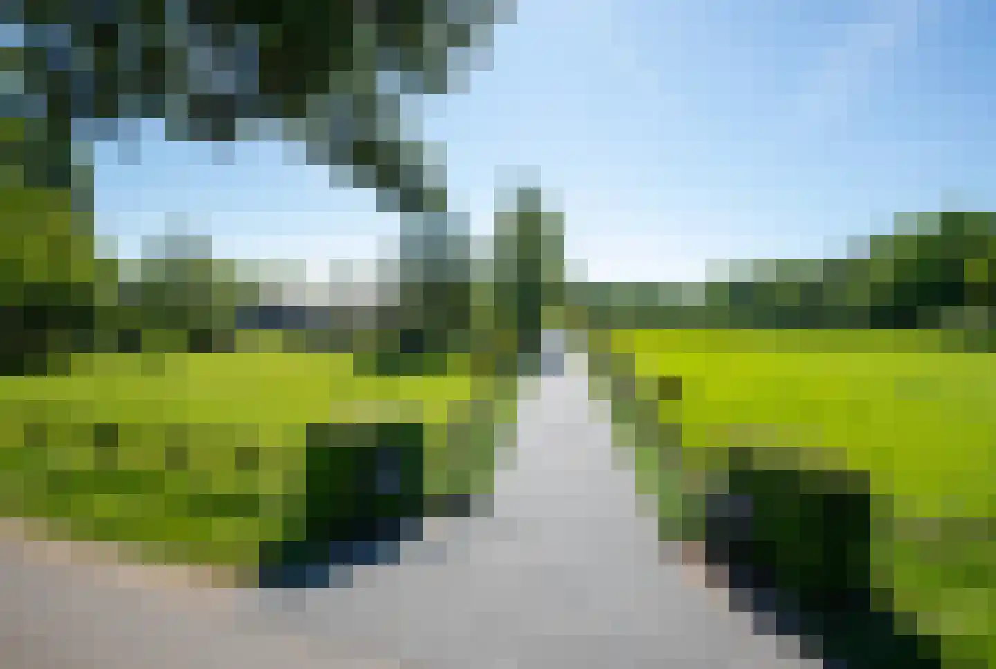 Jolinkdijk 6 Halle thumbnail 6