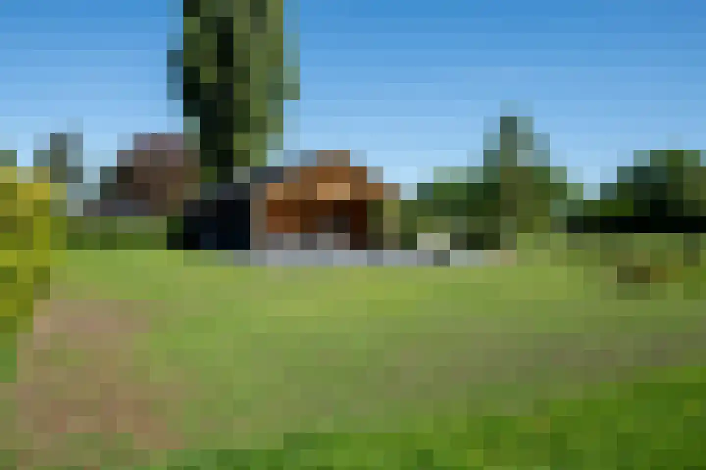 Jolinkdijk 6 Halle thumbnail 81