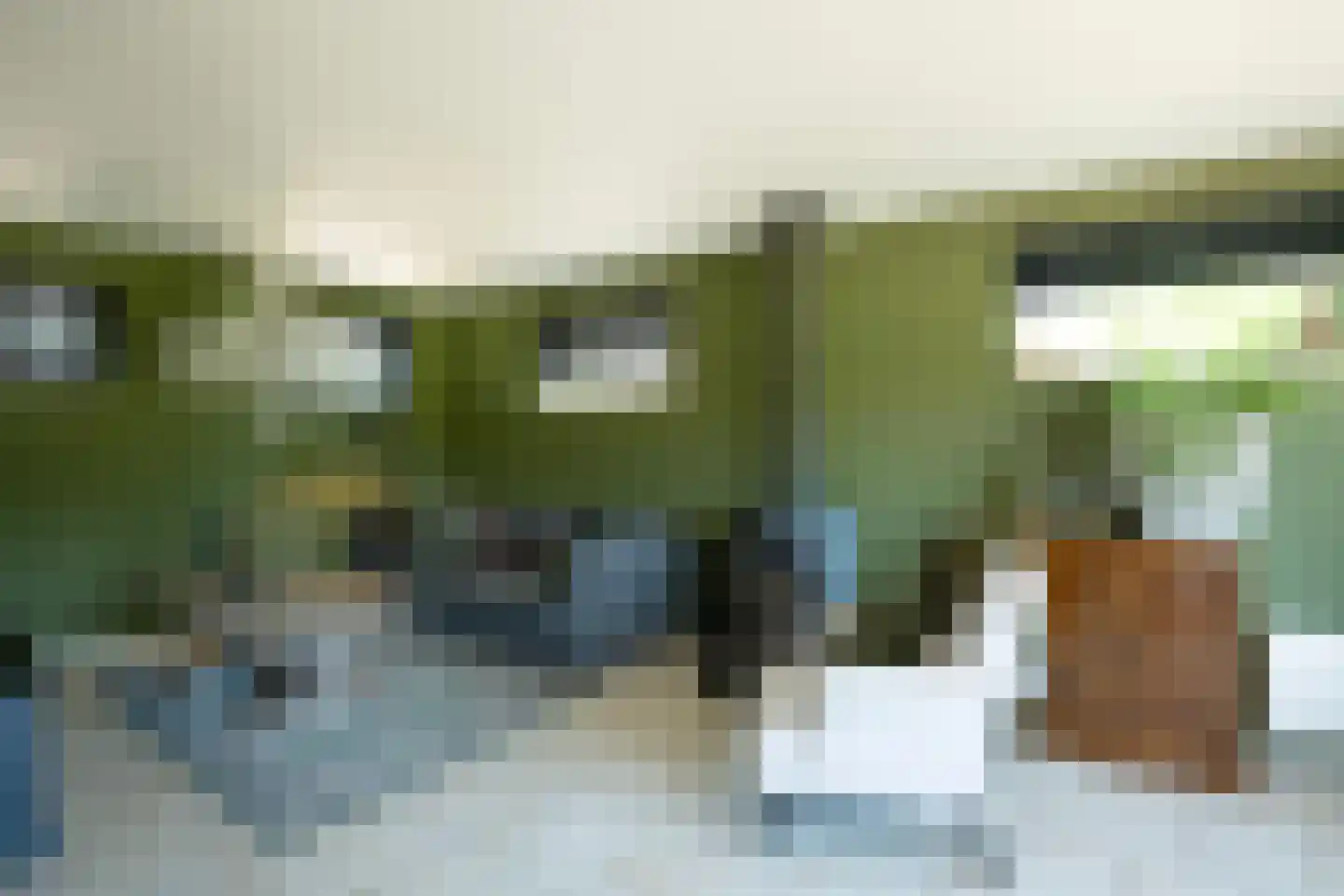 Jolinkdijk 6 Halle thumbnail 89