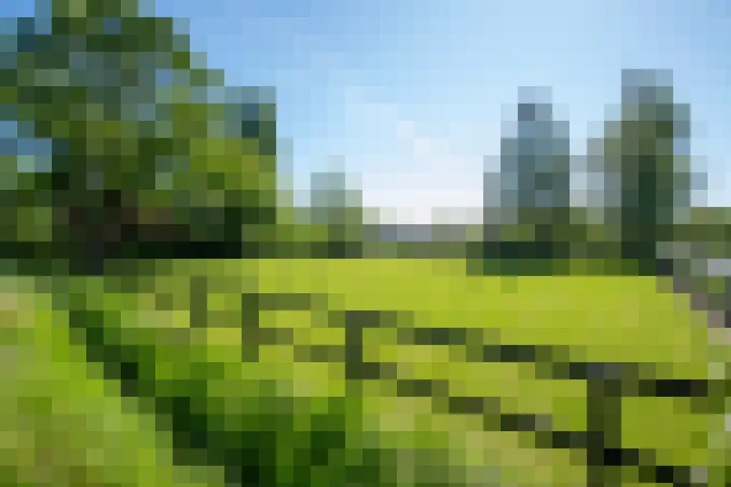 Jolinkdijk 6 Halle thumbnail 94