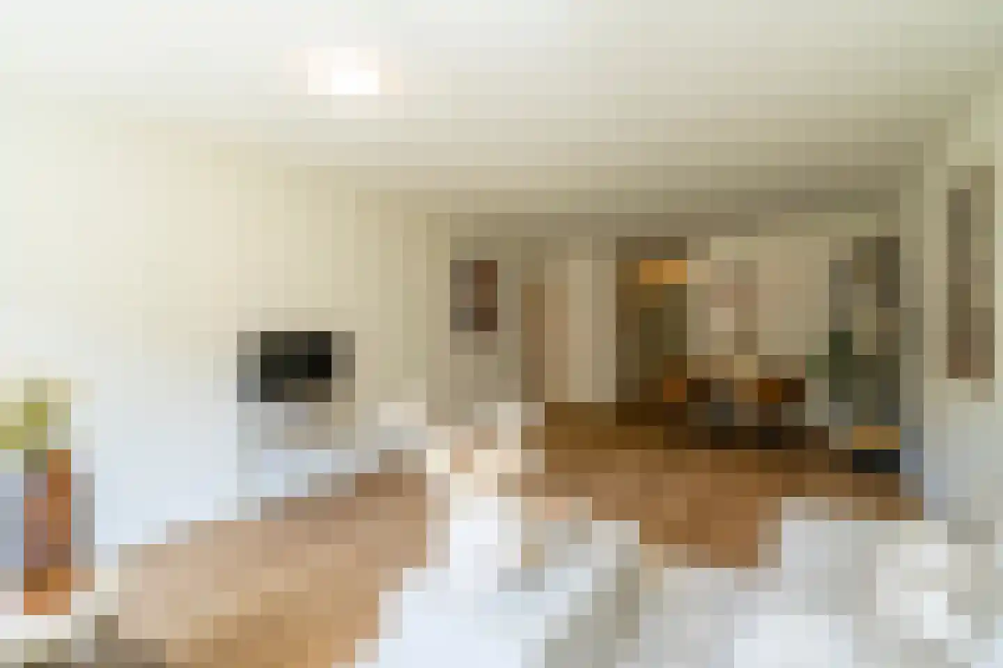 Joliotplaats 344 Rotterdam thumbnail 15
