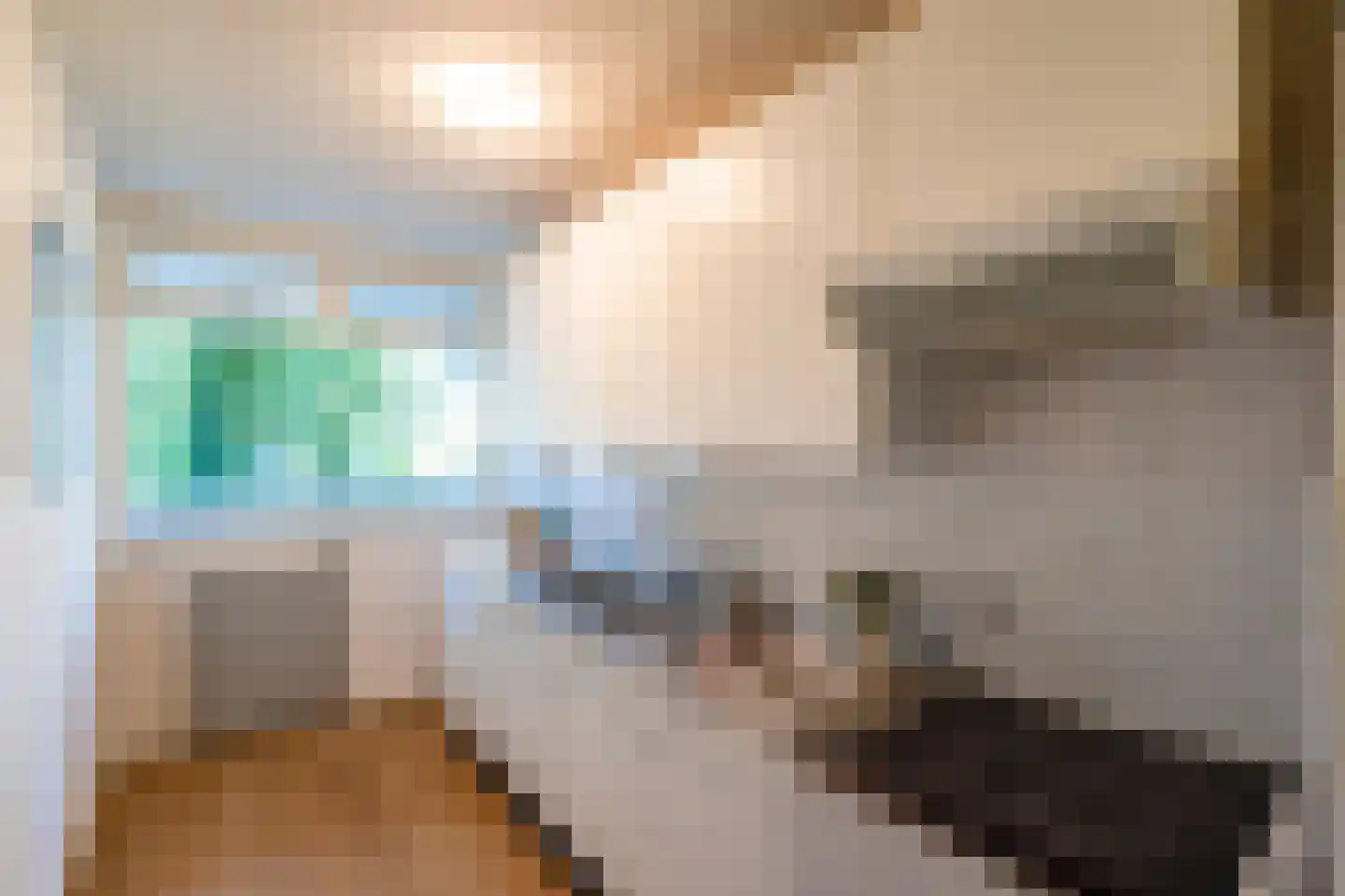 Joliotplaats 344 Rotterdam thumbnail 19