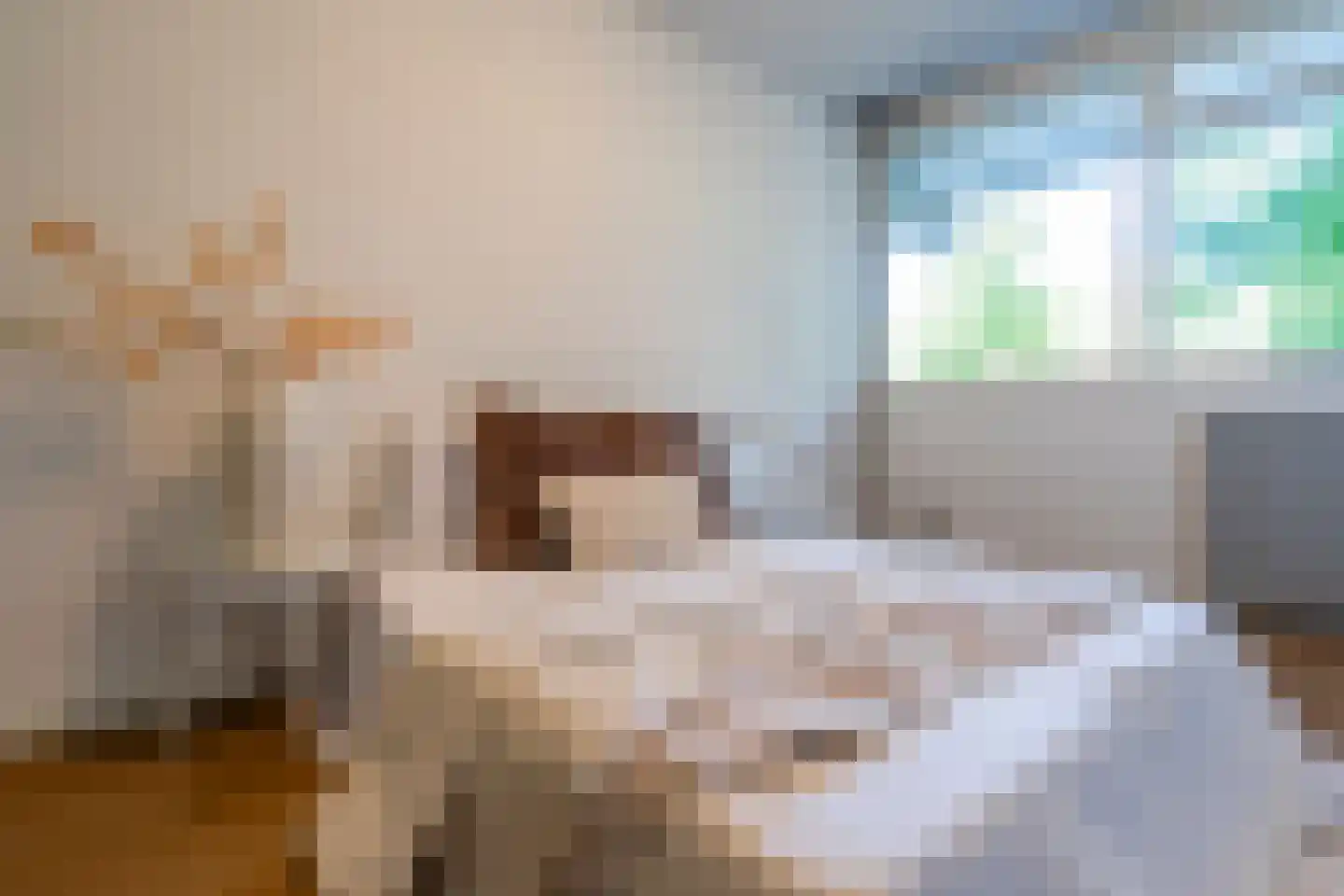 Joliotplaats 344 Rotterdam thumbnail 25