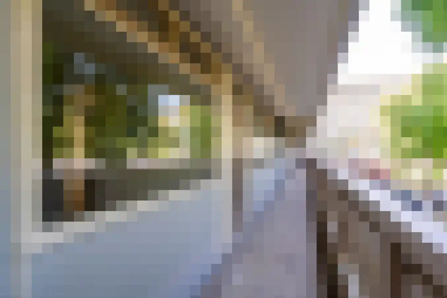 Joliotplaats 344 Rotterdam thumbnail 38
