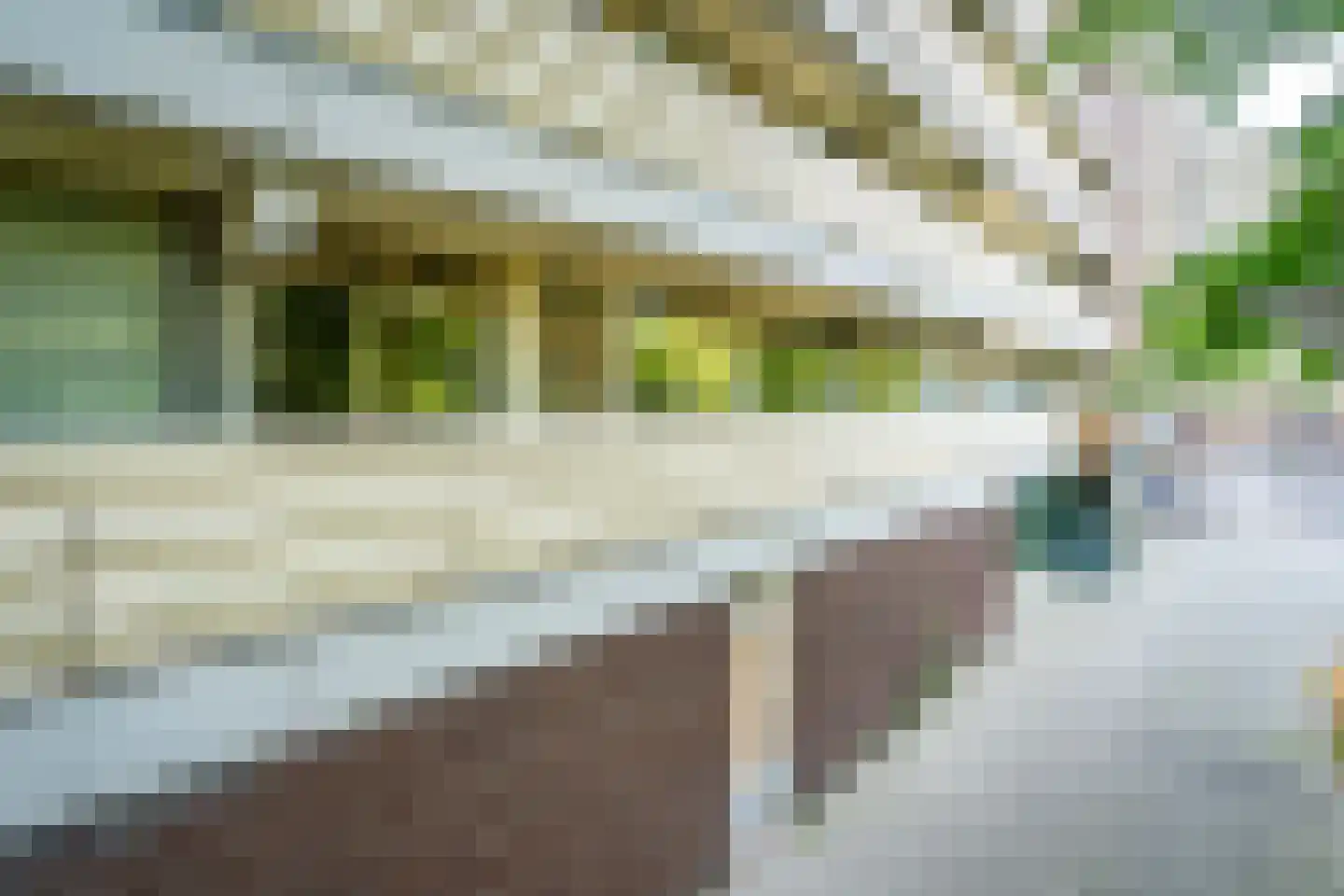 Joliotplaats 344 Rotterdam thumbnail 52