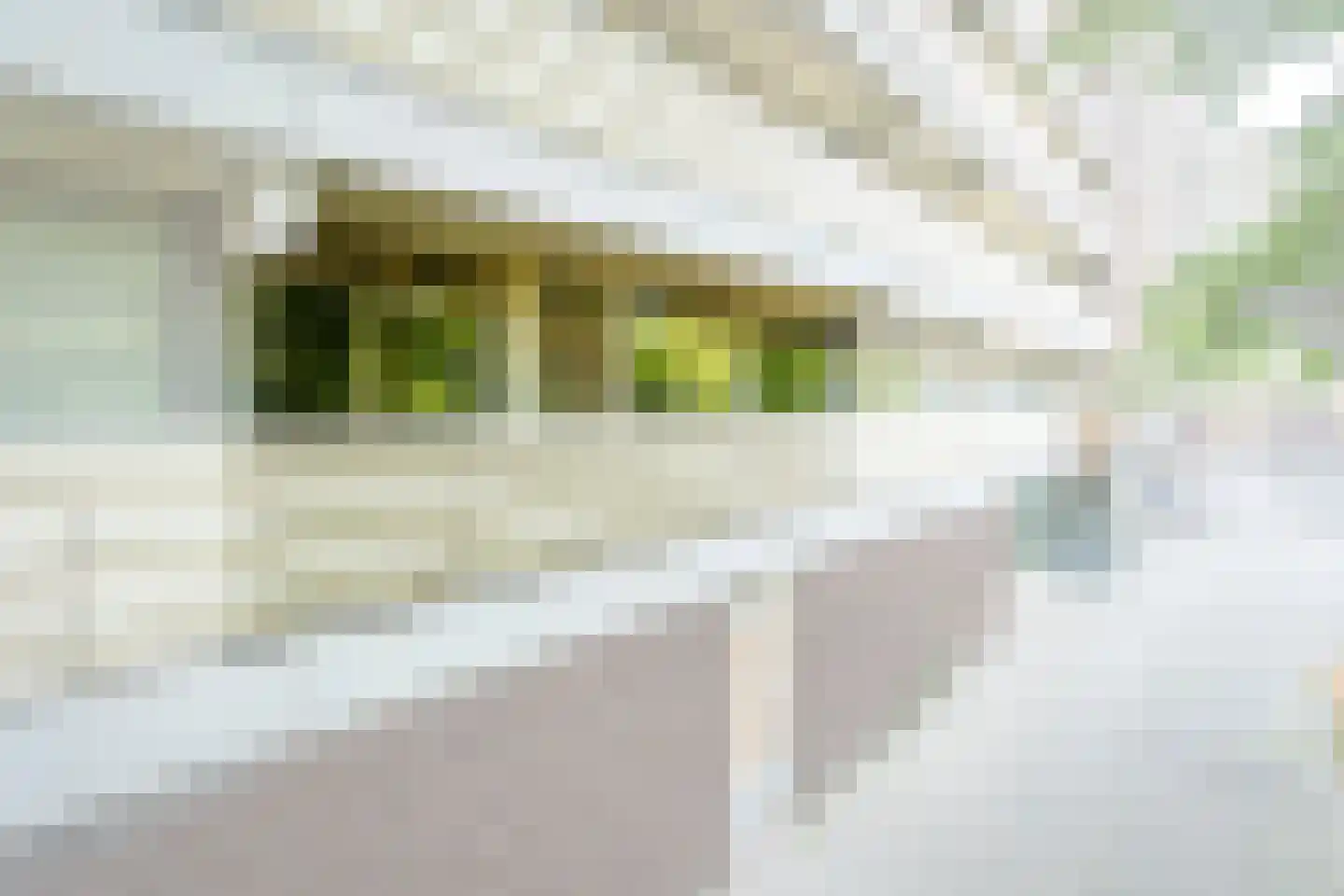 Joliotplaats 344 Rotterdam thumbnail 81