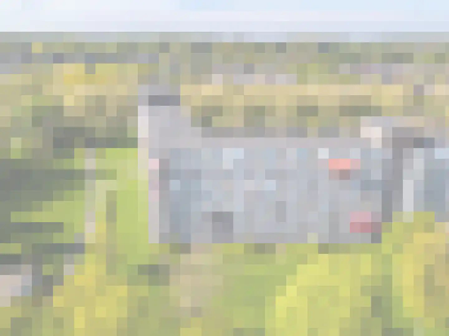 Joliotplaats 380 Rotterdam thumbnail 35