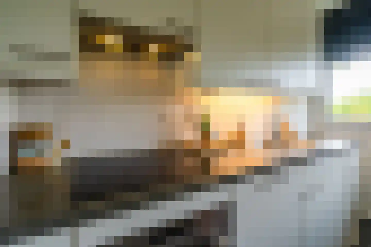 Joliotplaats 442 Rotterdam thumbnail 12
